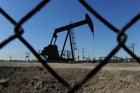 251107090620images (19).jpg